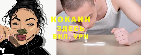 спайс Алексин
