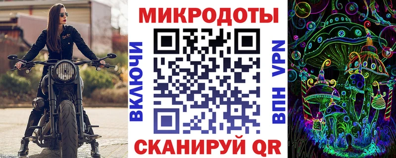 закладки Лосино-Петровский Галлюциногенные грибы прущие грибы