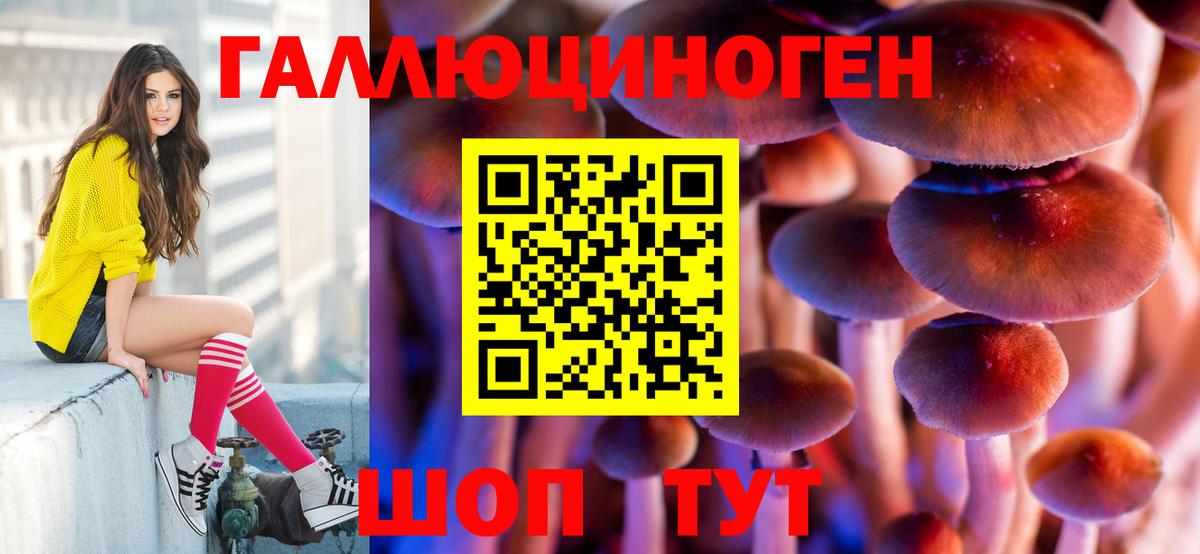 Галлюциногенные грибы Magic Shrooms  Вход с VPN  Псилоцибиновые грибы прущие грибы  Лосино-Петровский 